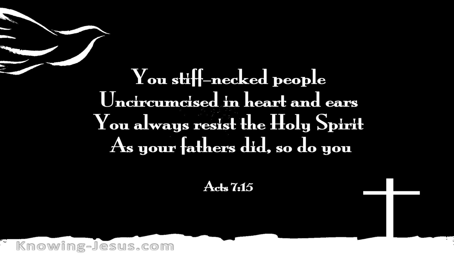 Acts 7:51 You Resist The Spirit (black)